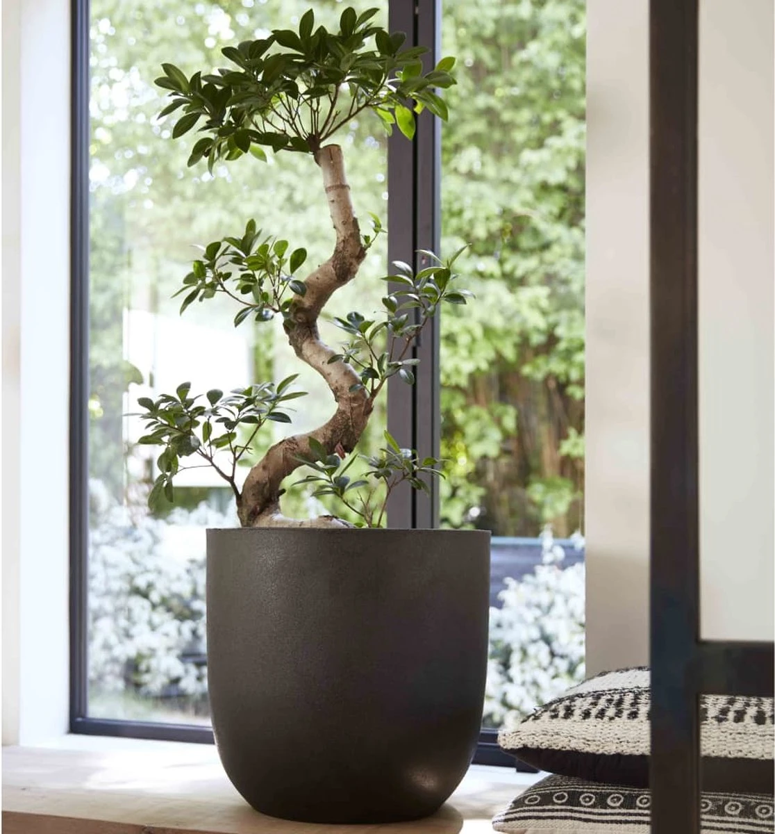 Capi Europe - Bloempot Bol Smooth NL - 35x34 - Zwart - Voor Binnen En Buiten - KBL932 - Afbeelding 8