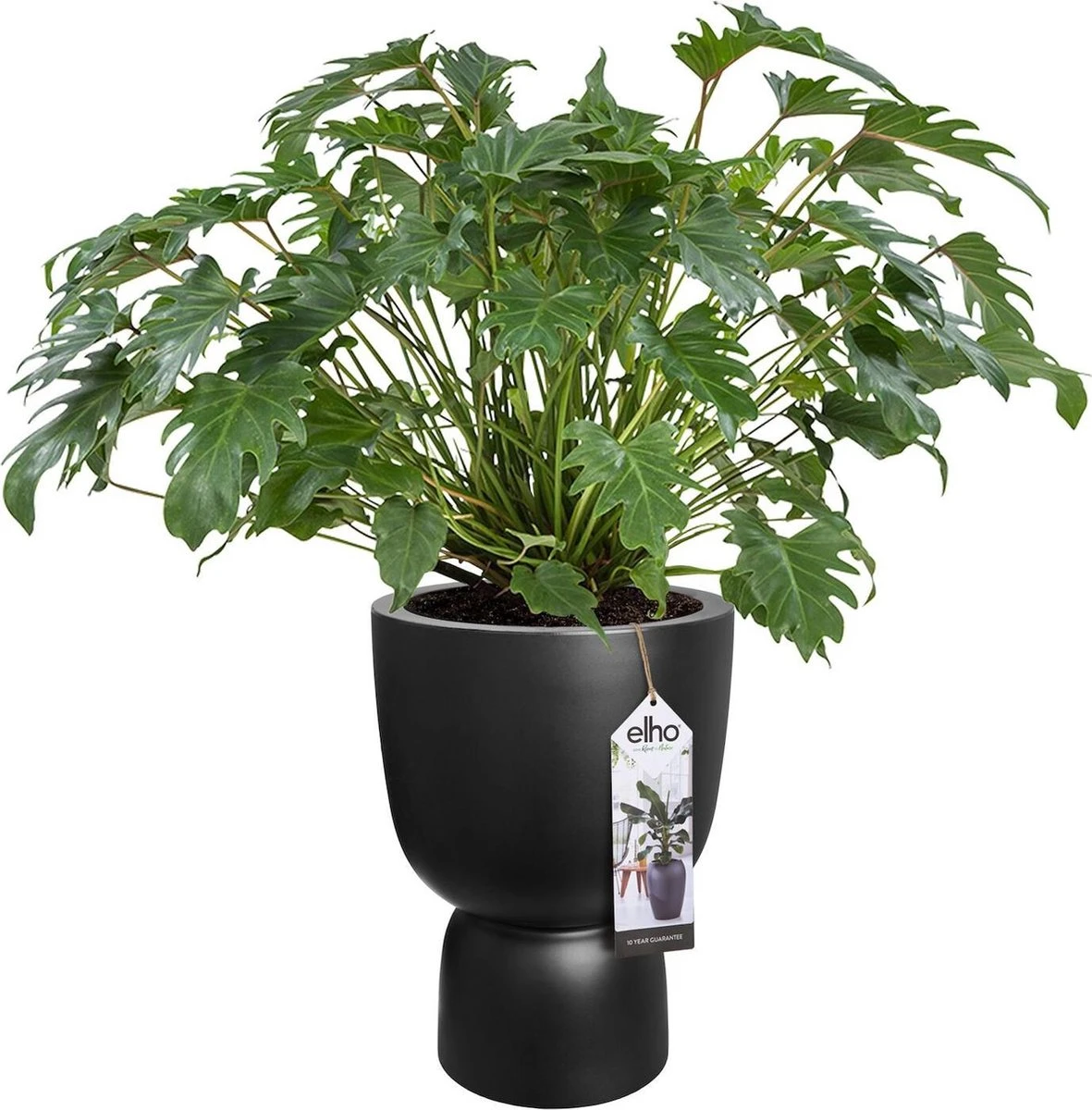 Elho Pure Coupe 41 - Bloempot Voor Binnen & Buiten - Ø 41.3 X H 57.9 Cm - Zwart/Zwart - Afbeelding 12