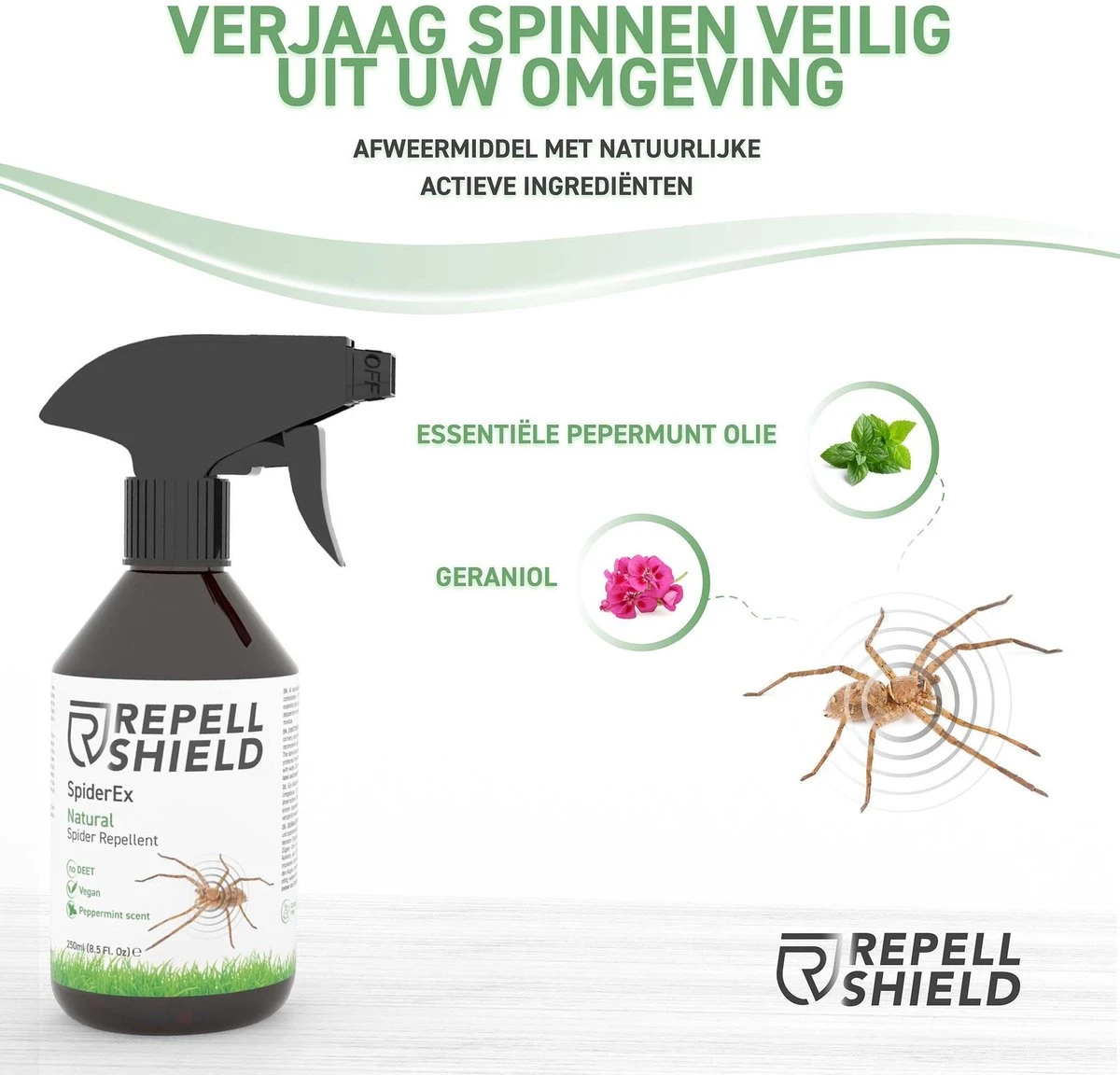 RepellShield Spinnen Bestrijden - Ongediertewering | Diervriendelijk Spinnen Verjagen Met Geur, Anti-Spinnen Spray - 250ml - Afbeelding 5
