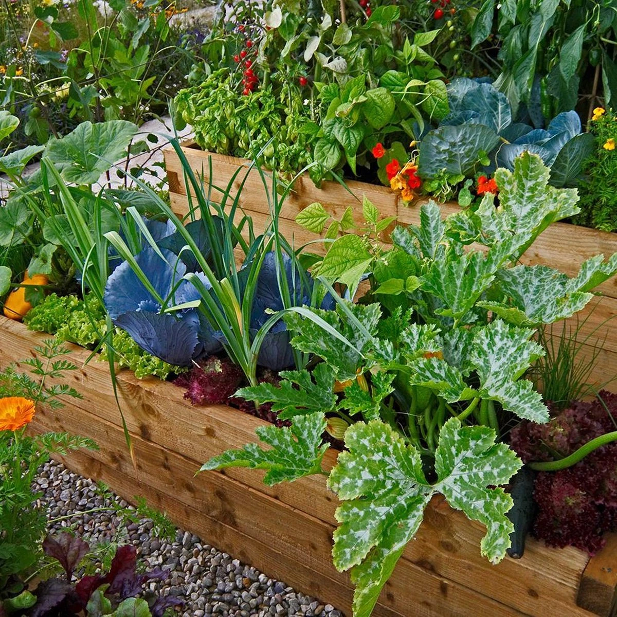 Mycorrhiza Mix Moestuin 500Gr - FungiLife Endomycorrhiza - Afbeelding 2