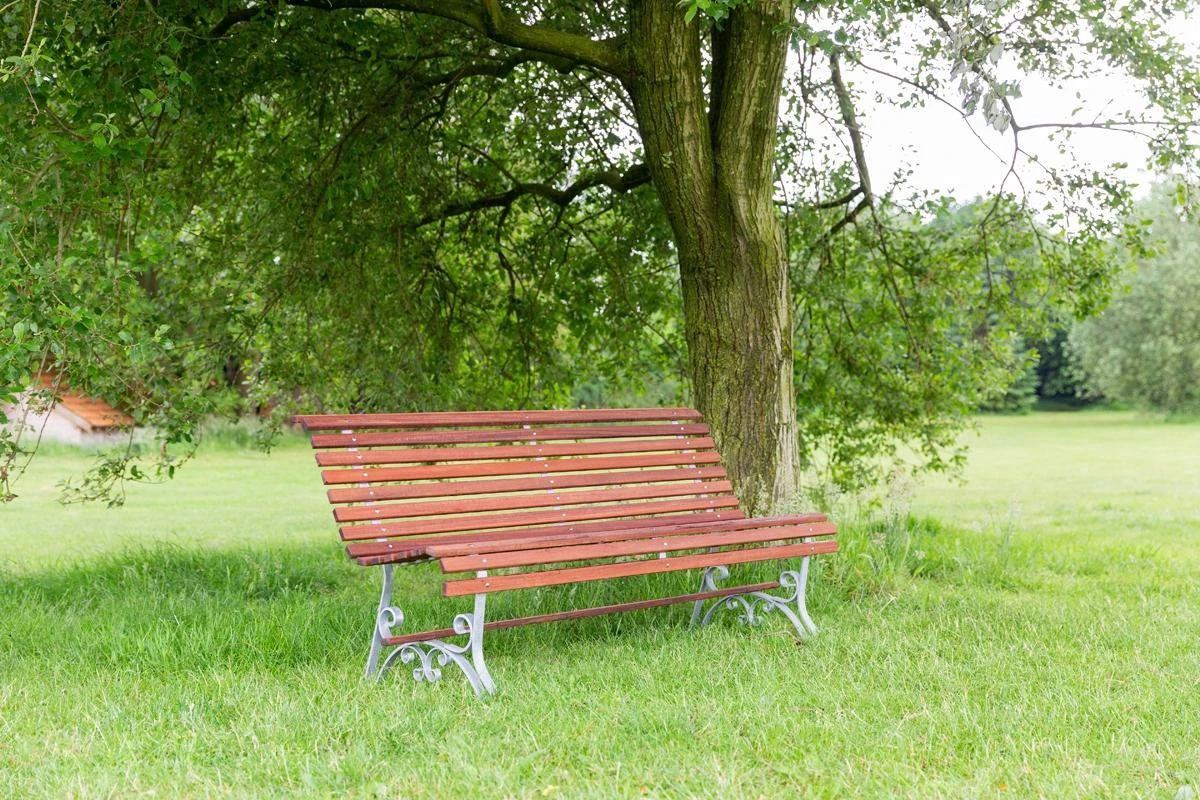 MaximaVida Tuinbank Budapest Oil 170 Cm - Uit Exclusief Mahoniehout - Afbeelding 5