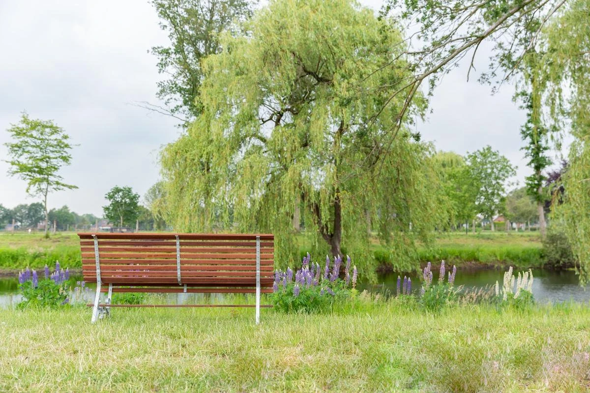 MaximaVida Tuinbank Budapest Oil 170 Cm - Uit Exclusief Mahoniehout - Afbeelding 7