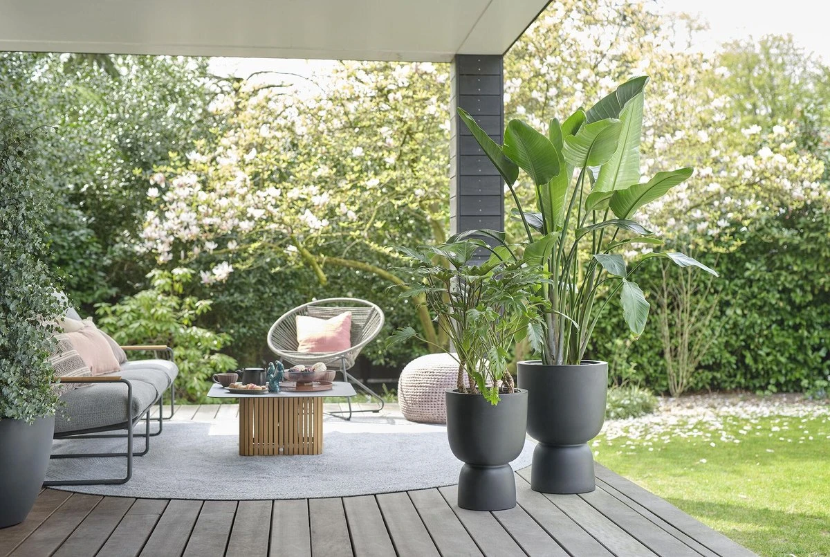 Elho Pure Coupe 41 - Bloempot Voor Binnen & Buiten - Ø 41.3 X H 57.9 Cm - Zwart/Zwart - Afbeelding 4