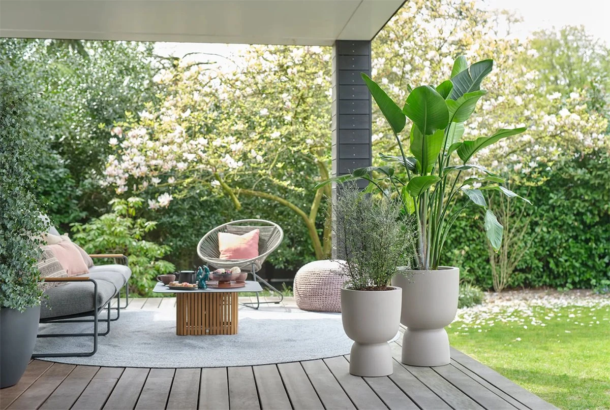 Elho Pure Coupe 35 - Bloempot Voor Binnen & Buiten - Ø 34.9 X H 49.0 Cm - Beige/Balanced Beige - Afbeelding 16