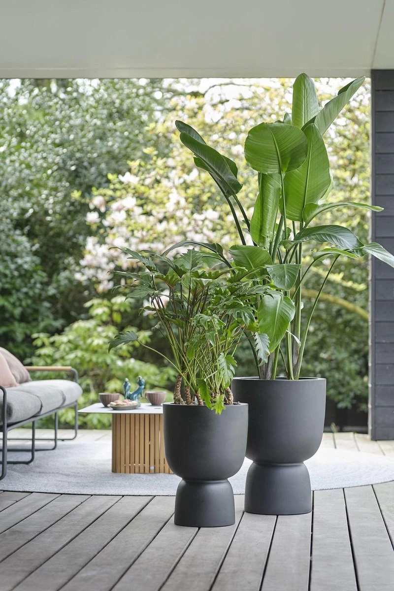 Elho Pure Coupe 41 - Bloempot Voor Binnen & Buiten - Ø 41.3 X H 57.9 Cm - Zwart/Zwart - Afbeelding 13