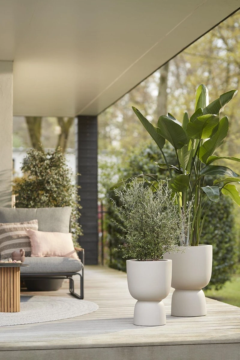 Elho Pure Coupe 35 - Bloempot Voor Binnen & Buiten - Ø 34.9 X H 49.0 Cm - Beige/Balanced Beige - Afbeelding 3