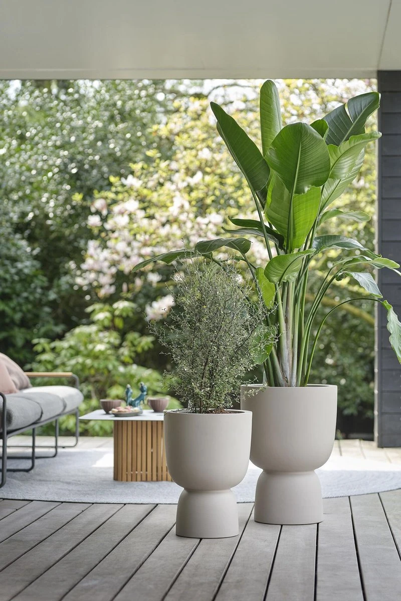 Elho Pure Coupe 35 - Bloempot Voor Binnen & Buiten - Ø 34.9 X H 49.0 Cm - Beige/Balanced Beige - Afbeelding 4