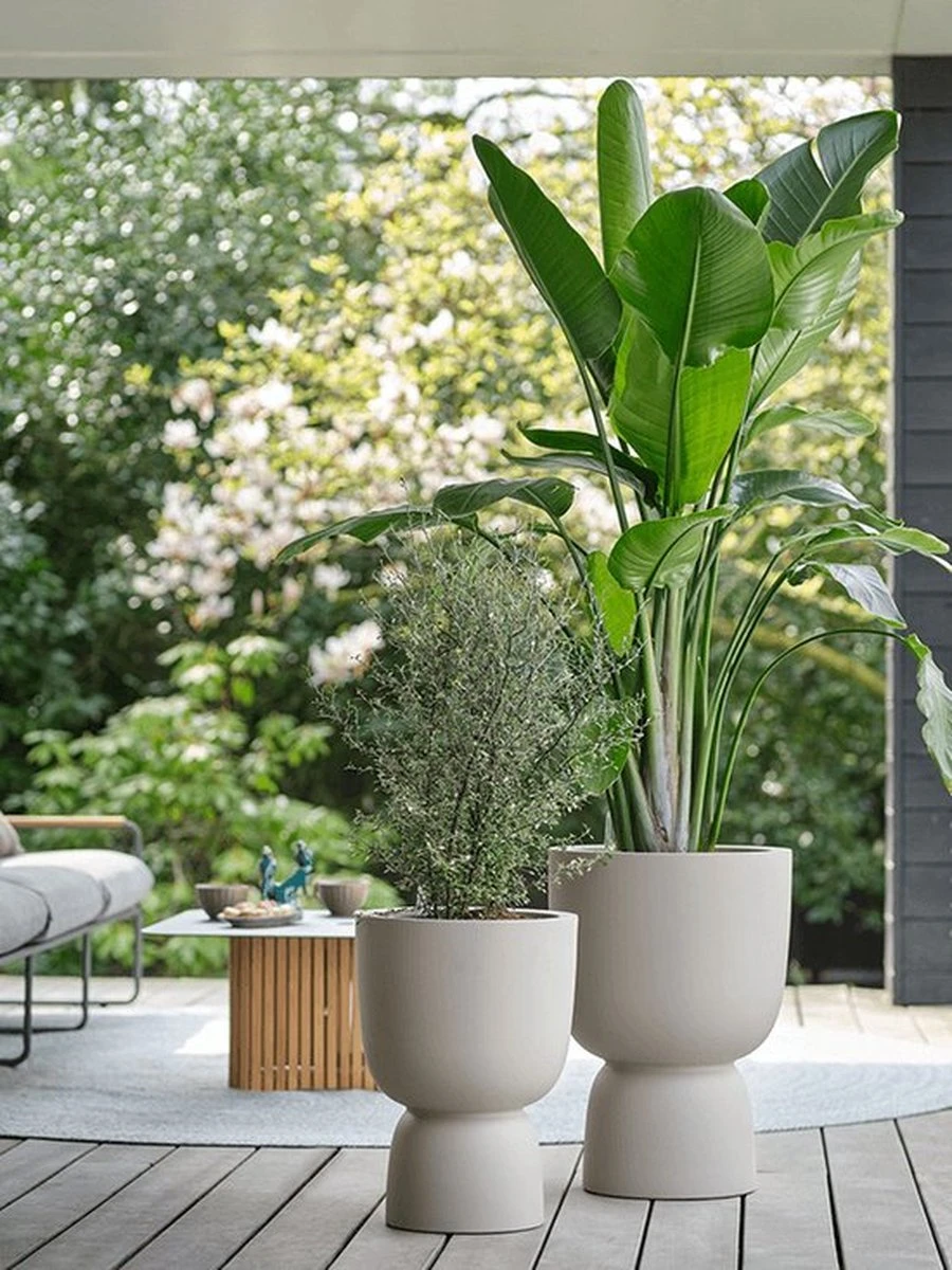 Elho Pure Coupe 35 - Bloempot Voor Binnen & Buiten - Ø 34.9 X H 49.0 Cm - Beige/Balanced Beige - Afbeelding 10