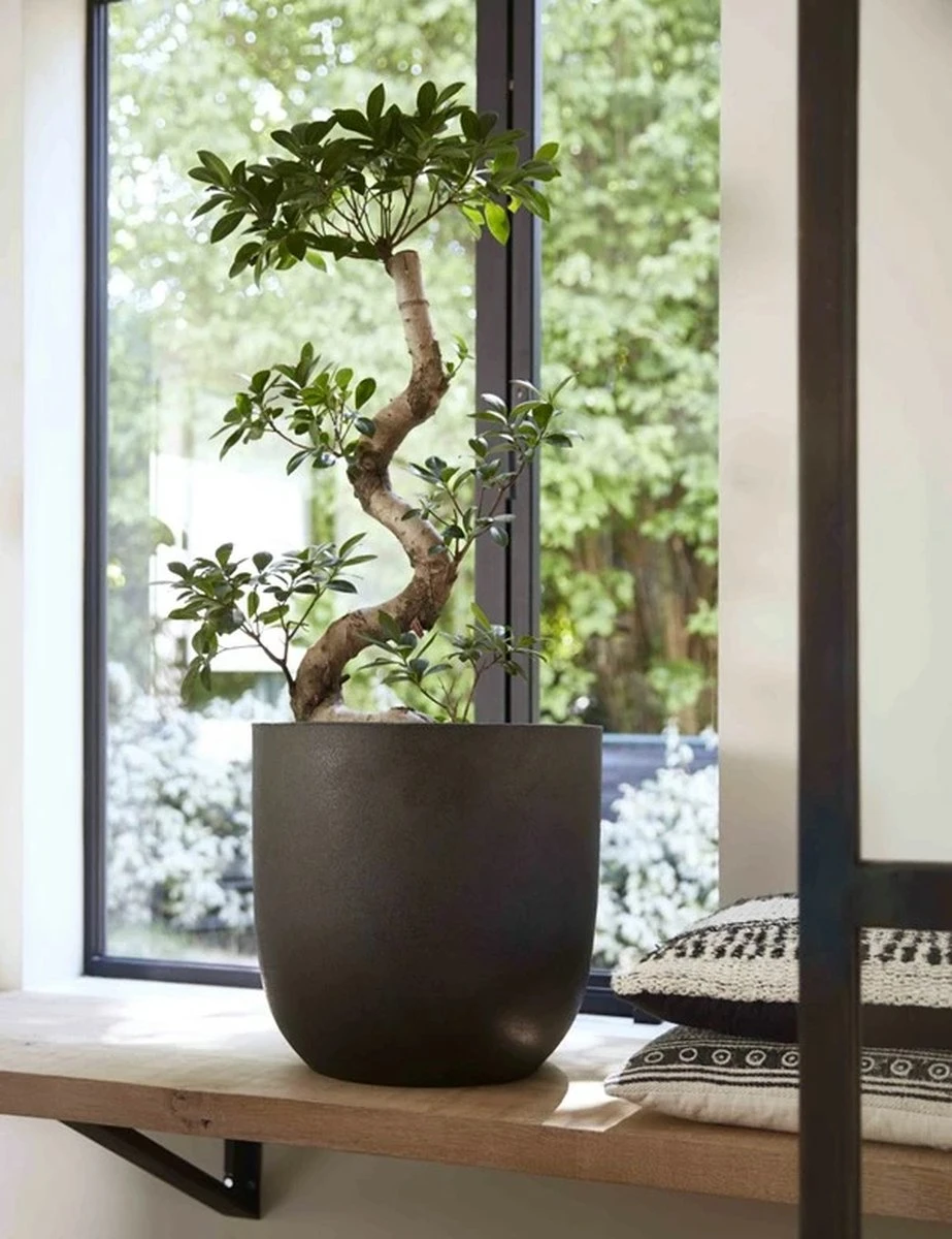 Capi Europe - Bloempot Bol Smooth NL - 35x34 - Zwart - Voor Binnen En Buiten - KBL932 - Afbeelding 3